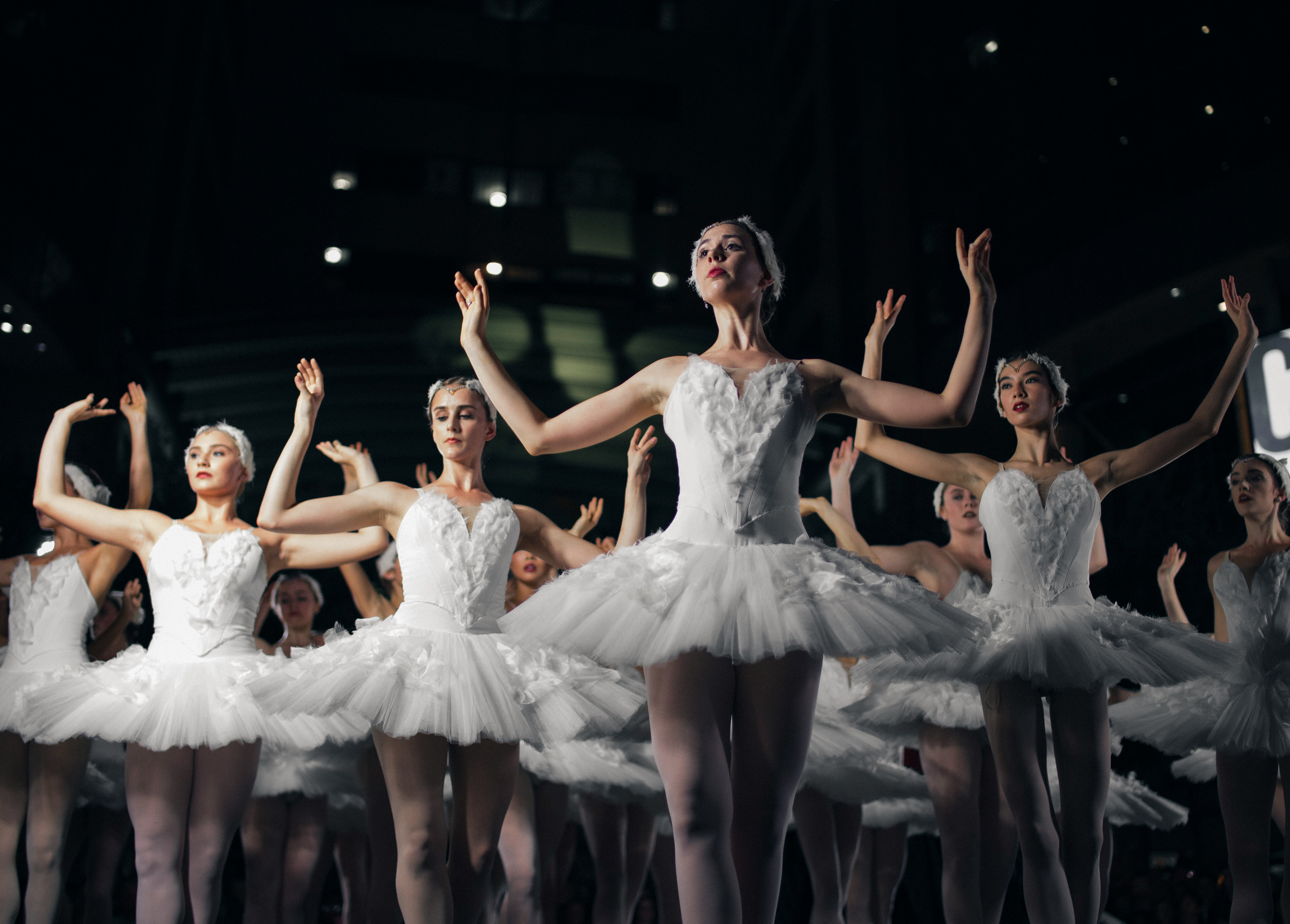 ballerinas in white tutus with arms raised in a performance of the Swan Lake Ballet